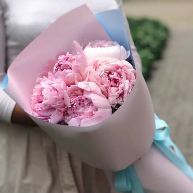 Пионы в Кишиневе